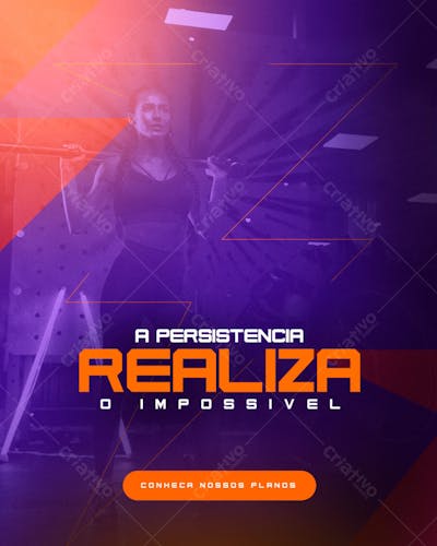 ACADEMIA 3