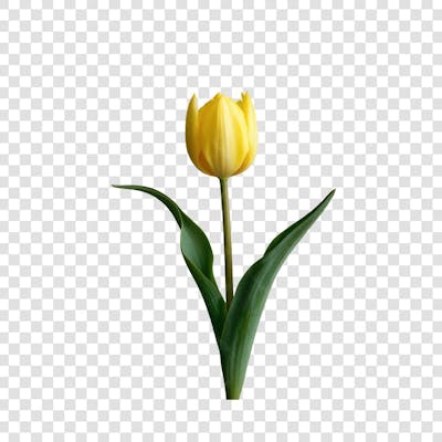 3D render FLORES ROSA VEMELHA COLORIDA AZUL FLOR elemento para composição ícone logo PSD png (190)