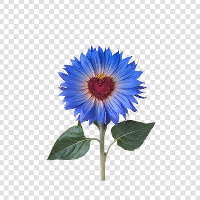 3D render FLORES ROSA VEMELHA COLORIDA AZUL FLOR elemento para composição ícone logo PSD png (141)