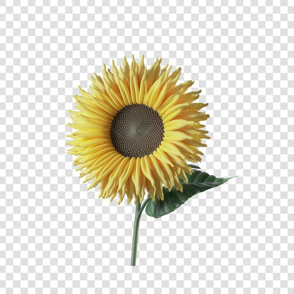 3D render FLORES ROSA VEMELHA COLORIDA AZUL FLOR elemento para composição ícone logo PSD png (16)