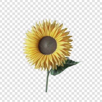 3D render FLORES ROSA VEMELHA COLORIDA AZUL FLOR elemento para composição ícone logo PSD png (16)