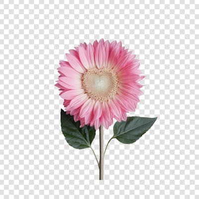 3D render FLORES ROSA VEMELHA COLORIDA AZUL FLOR elemento para composição ícone logo PSD png (150)