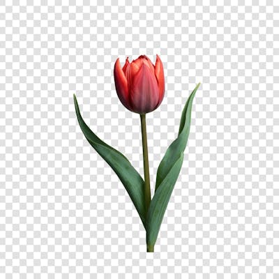 3D render FLORES ROSA VEMELHA COLORIDA AZUL FLOR elemento para composição ícone logo PSD png (186)