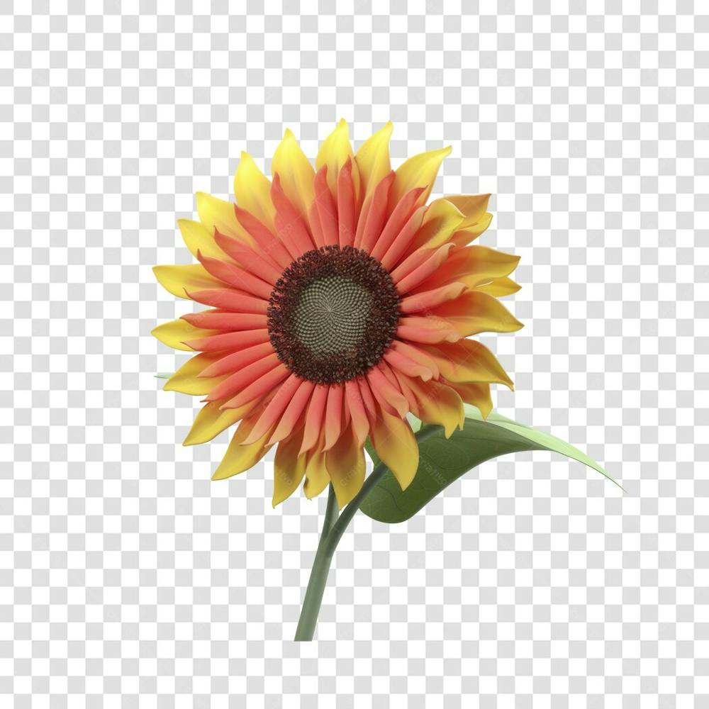 3D render FLORES ROSA VEMELHA COLORIDA AZUL FLOR elemento para composição ícone logo PSD png (31)