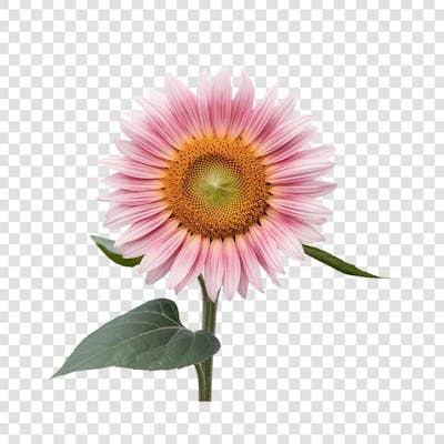 3D render FLORES ROSA VEMELHA COLORIDA AZUL FLOR elemento para composição ícone logo PSD png (83)