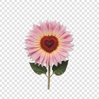 3D render FLORES ROSA VEMELHA COLORIDA AZUL FLOR elemento para composição ícone logo PSD png (147)