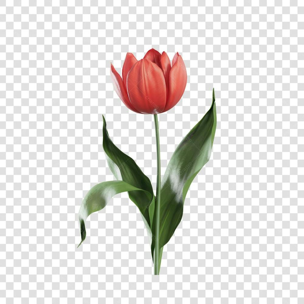 3D render FLORES ROSA VEMELHA COLORIDA AZUL FLOR elemento para composição ícone logo PSD png (183)