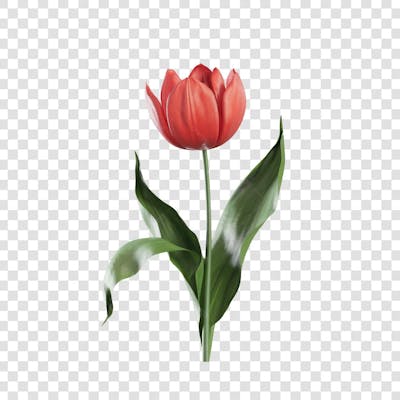 3D render FLORES ROSA VEMELHA COLORIDA AZUL FLOR elemento para composição ícone logo PSD png (183)