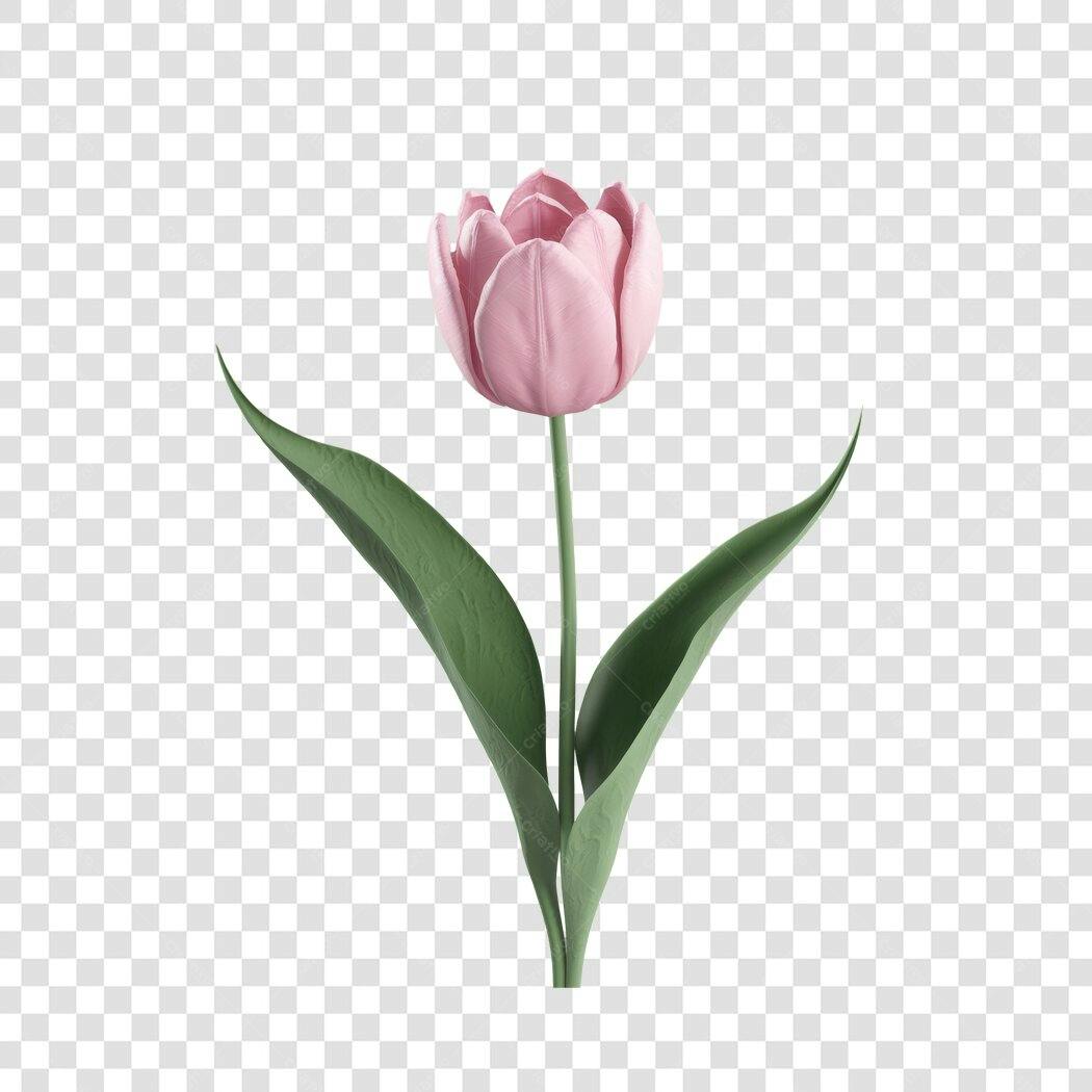 Post Instagram Dia das Mães Rosa Tulipa PNG com fundo transparente