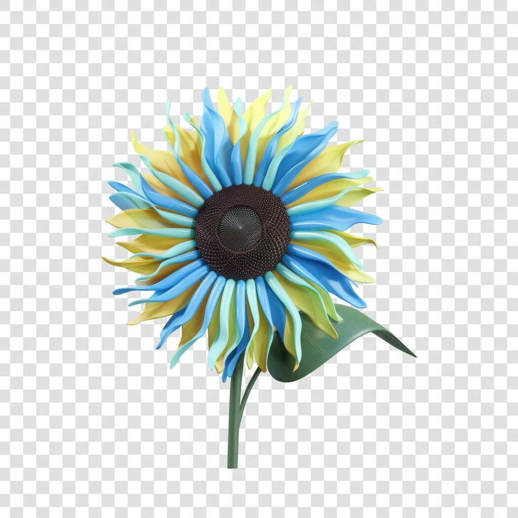 Post Instagram Girassol Azul e Amarelo PNG com fundo transparente