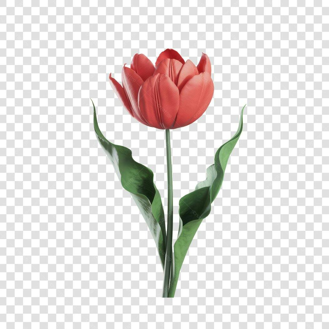 Post Instagram Dia das Mães Tulipa Vermelha PNG com fundo transparente