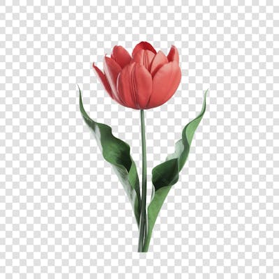 3D render FLORES ROSA VEMELHA COLORIDA AZUL FLOR elemento para composição ícone logo PSD png (184)