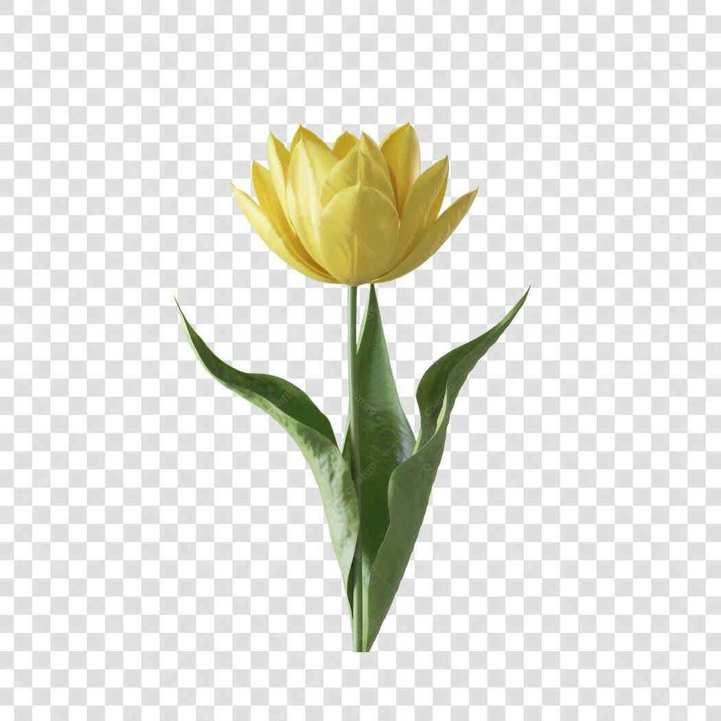 PNG Tulip amarela para Dia das Mães com fundo transparente