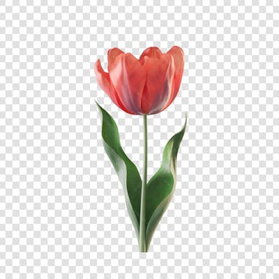 3D render FLORES ROSA VEMELHA COLORIDA AZUL FLOR elemento para composição ícone logo PSD png (181)
