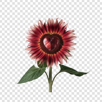 3D render FLORES ROSA VEMELHA COLORIDA AZUL FLOR elemento para composição ícone logo PSD png (133)