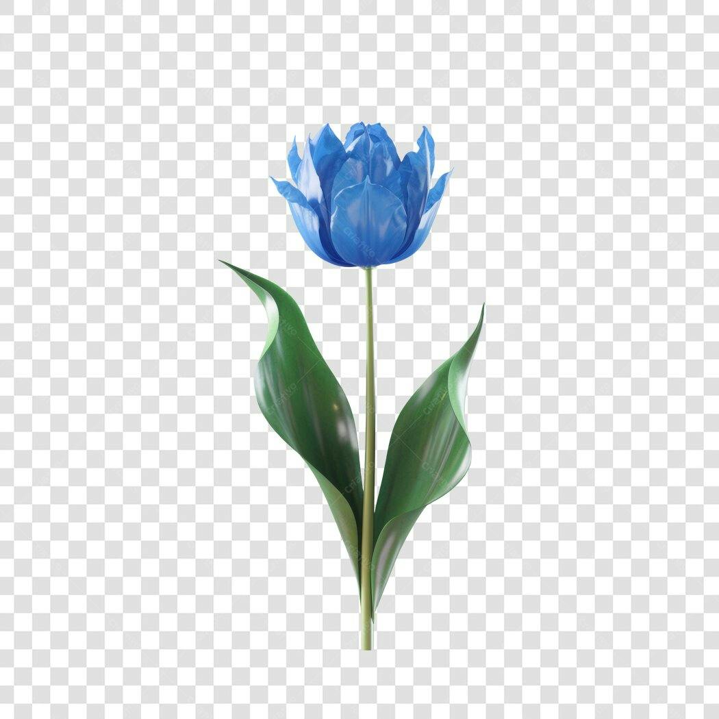 Post Instagram Tulipa Azul PNG com fundo transparente