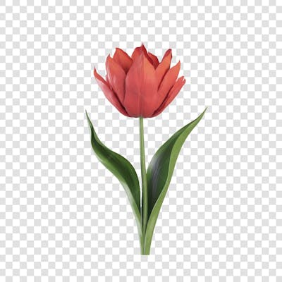 3D render FLORES ROSA VEMELHA COLORIDA AZUL FLOR elemento para composição ícone logo PSD png (182)