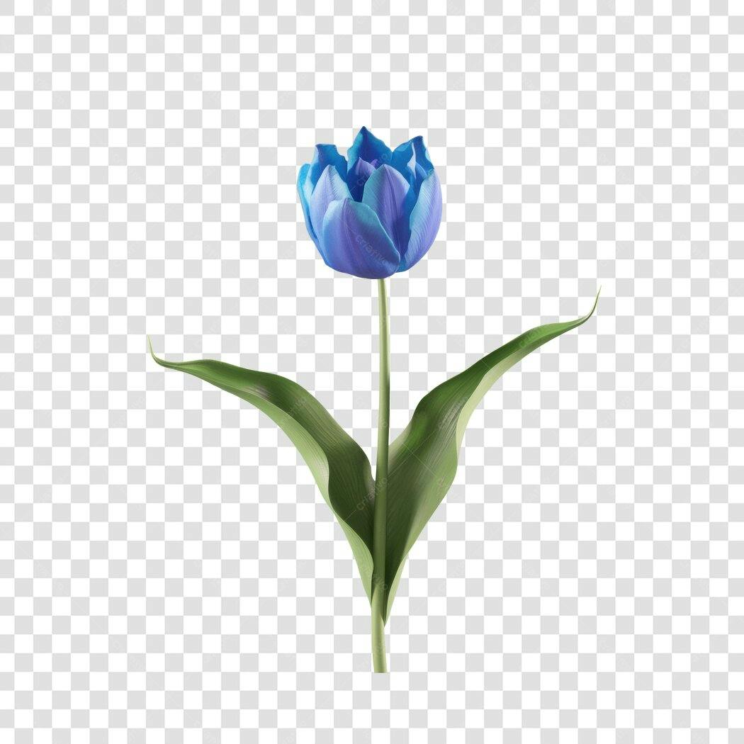 Post Instagram Tulipa Azul PNG com fundo transparente
