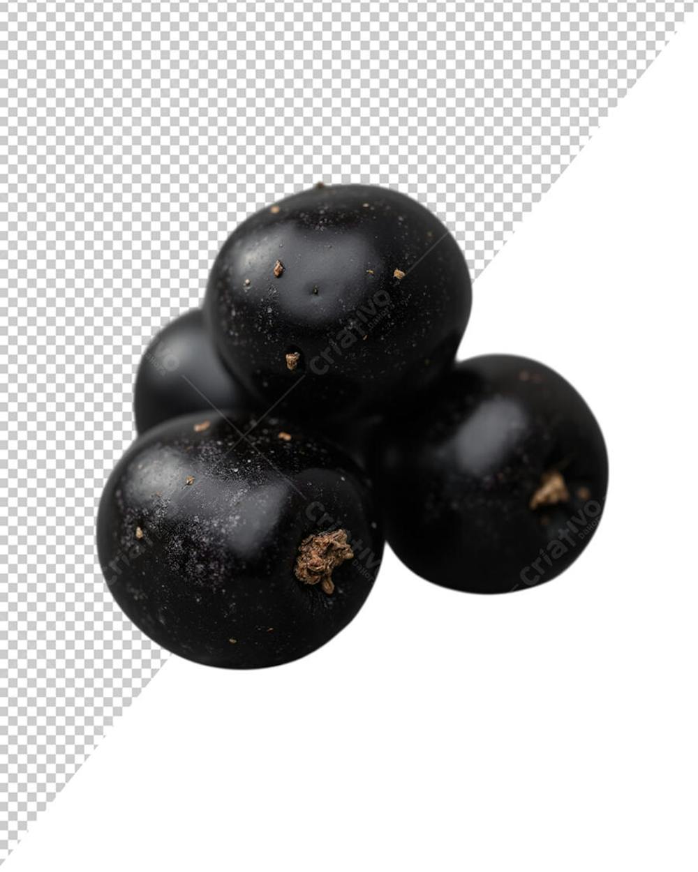 QUATRO AÇAI SÓ PARA POSTS E COMPOSIÇÕES
