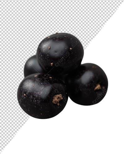 QUATRO AÇAI SÓ PARA POSTS E COMPOSIÇÕES