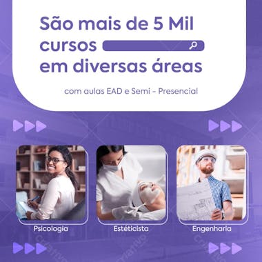 Coleção de arte Faculdade