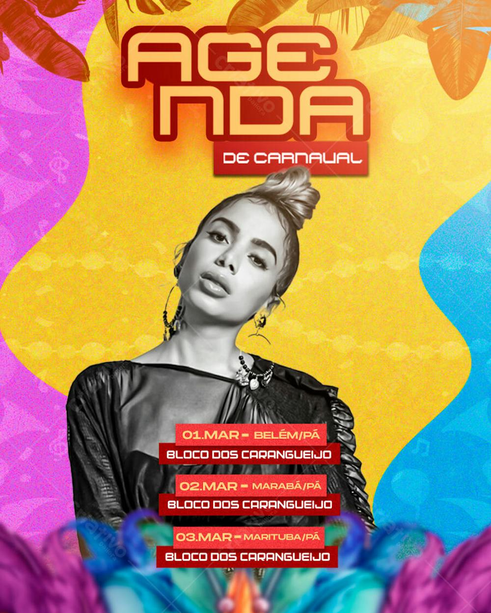 PSD AGENDA DE CARNAVAL