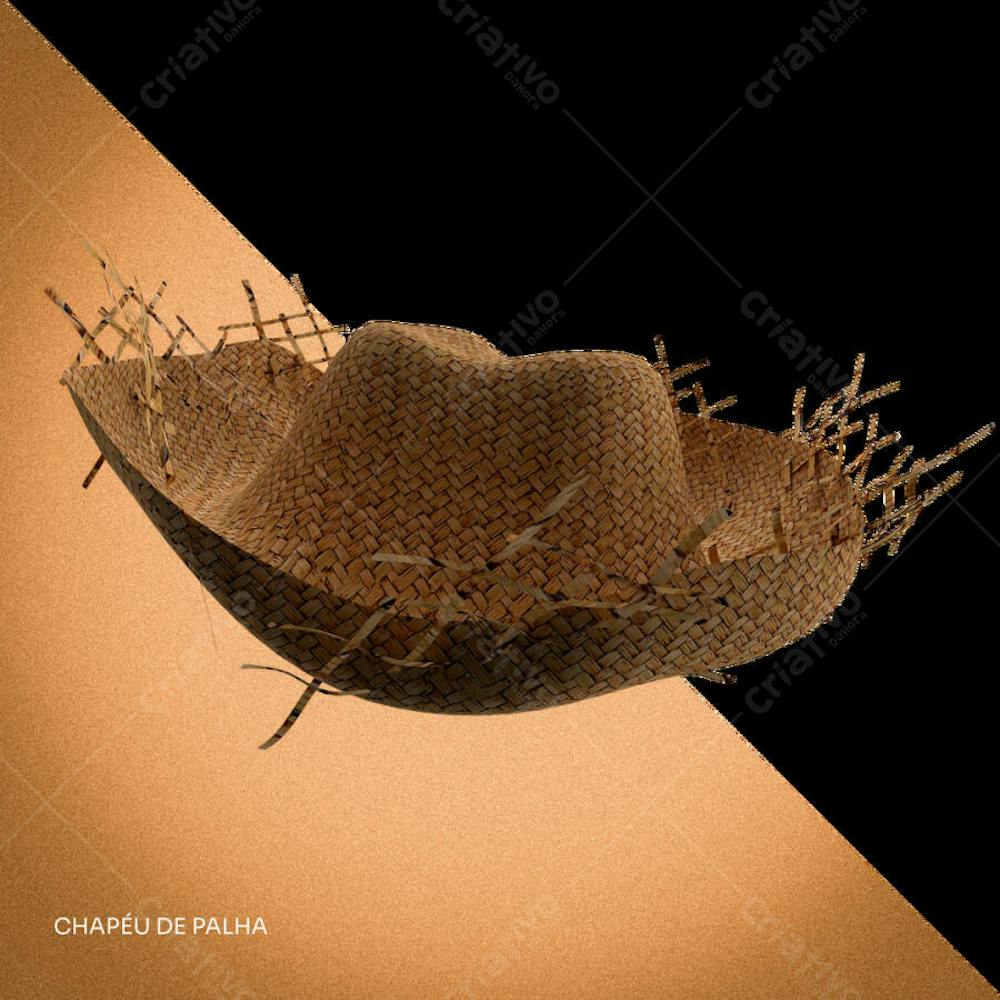 CHAPEU DE PALHA