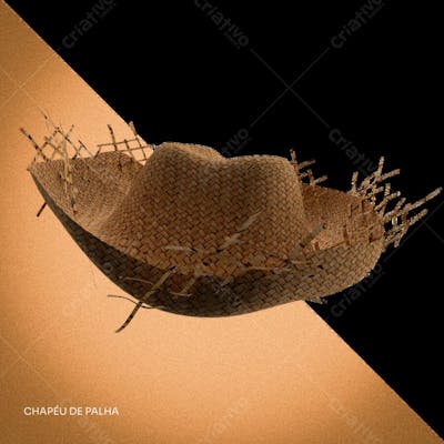 CHAPEU DE PALHA