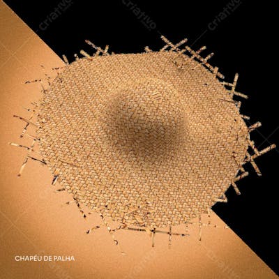 CHAPEU DE PALHA