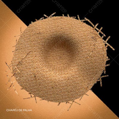 CHAPEU DE PALHA