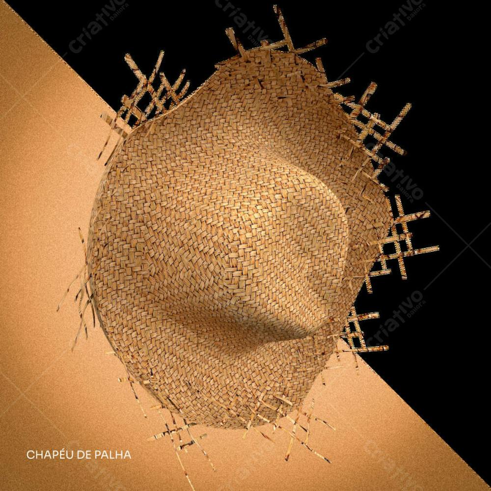 CHAPEU DE PALHA