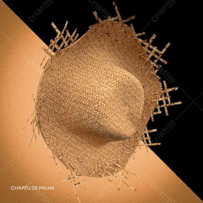 CHAPEU DE PALHA