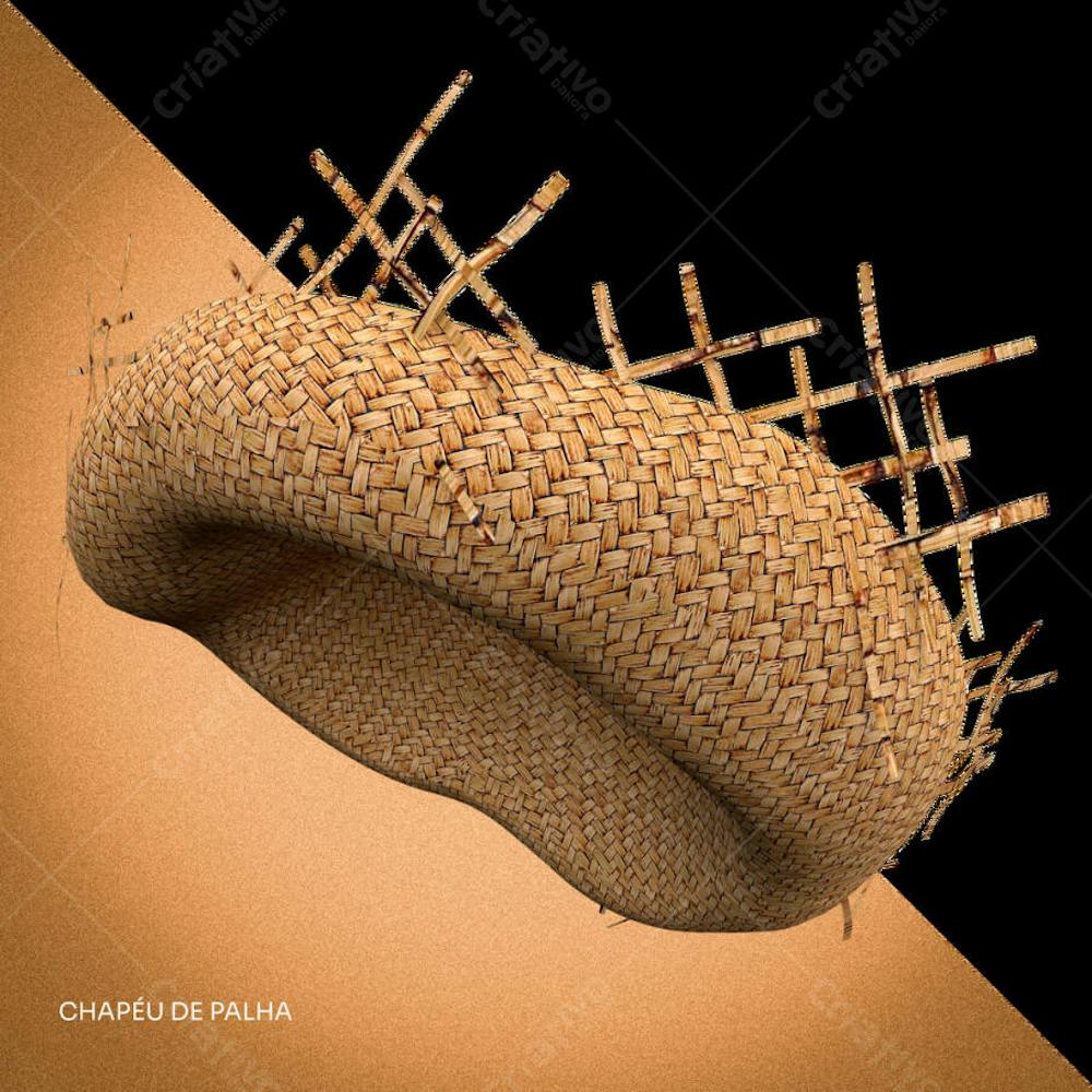 CHAPEU DE PALHA 