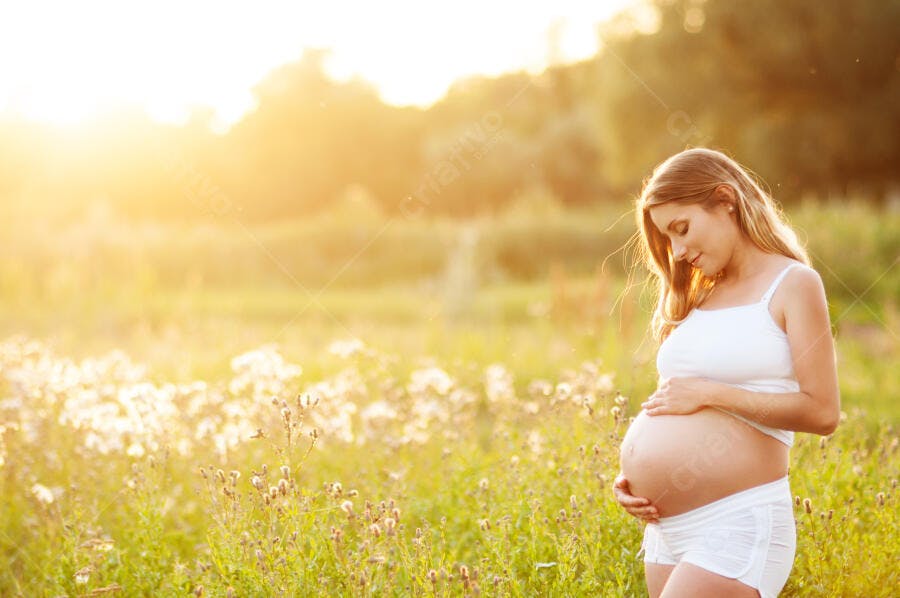 Mulher grávida em campo florido ao entardecer