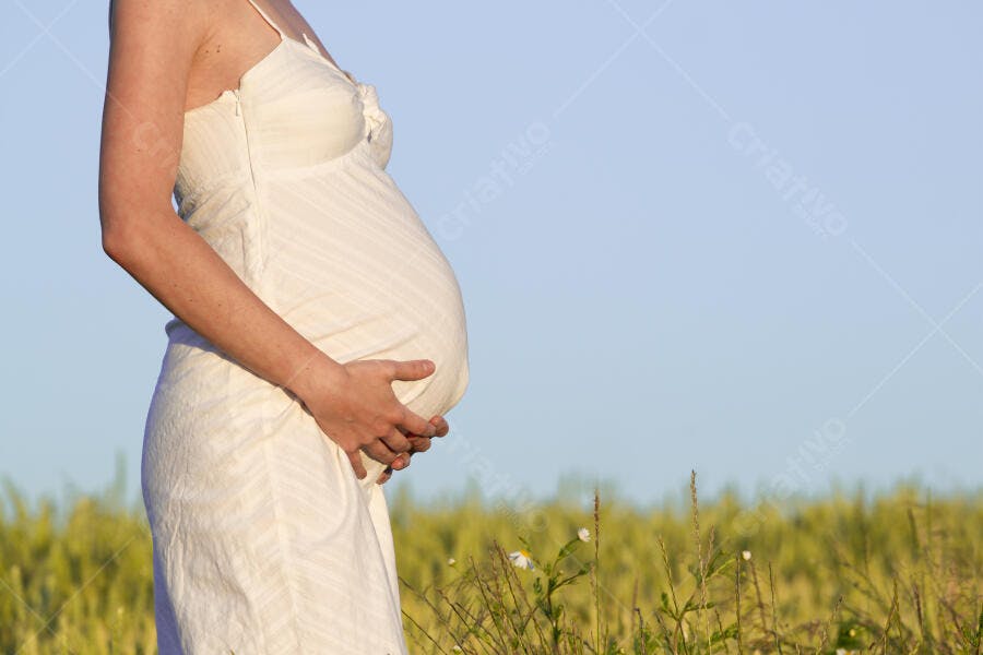 Barriga de grávida em campo de trigo