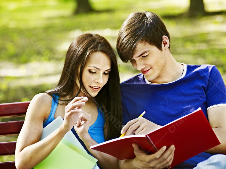 Casal estudando em parque ensolarado