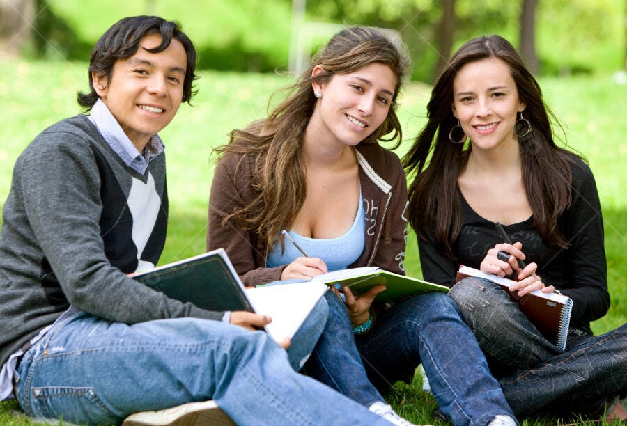Estudantes universitários estudando em parque