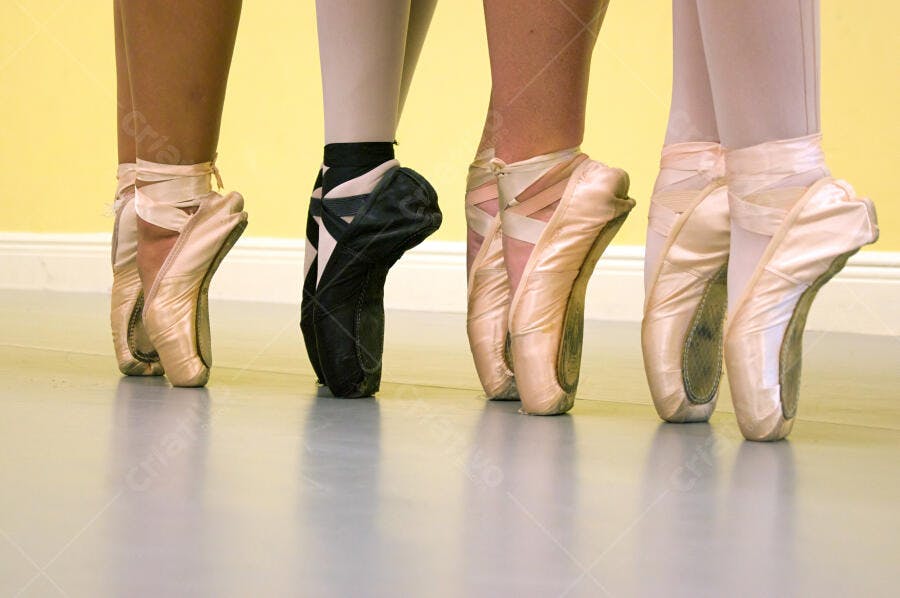 Sapatilhas de Ballet em Relevo