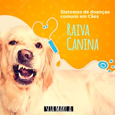 FLYER RAIVA CANINA PETS