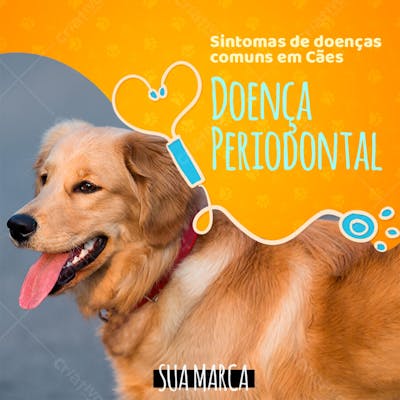 Flayer Pets Doença Periodontal