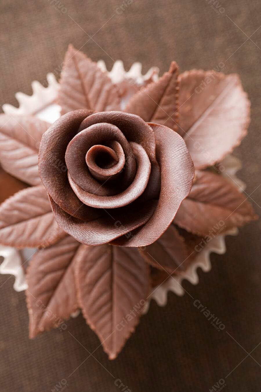 Rosa de chocolate com folhas