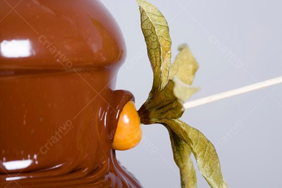 Fruta em chocolate derretido