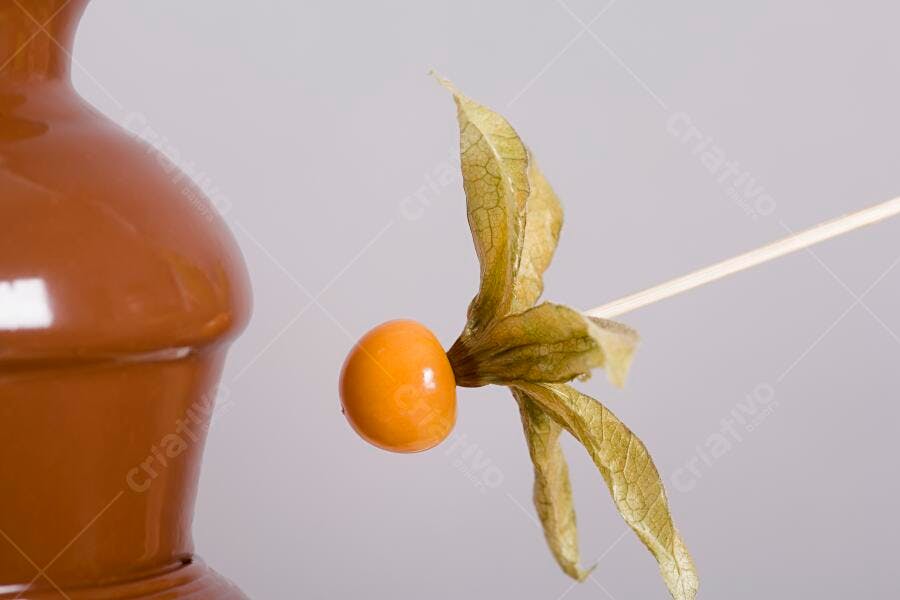Physalis em Chocolate Quente