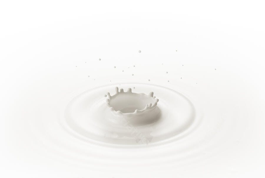 Salpico de leite fundo branco
