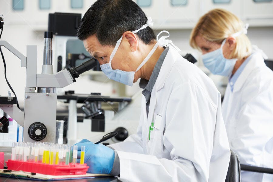 Cientistas em laboratório analisando amostras