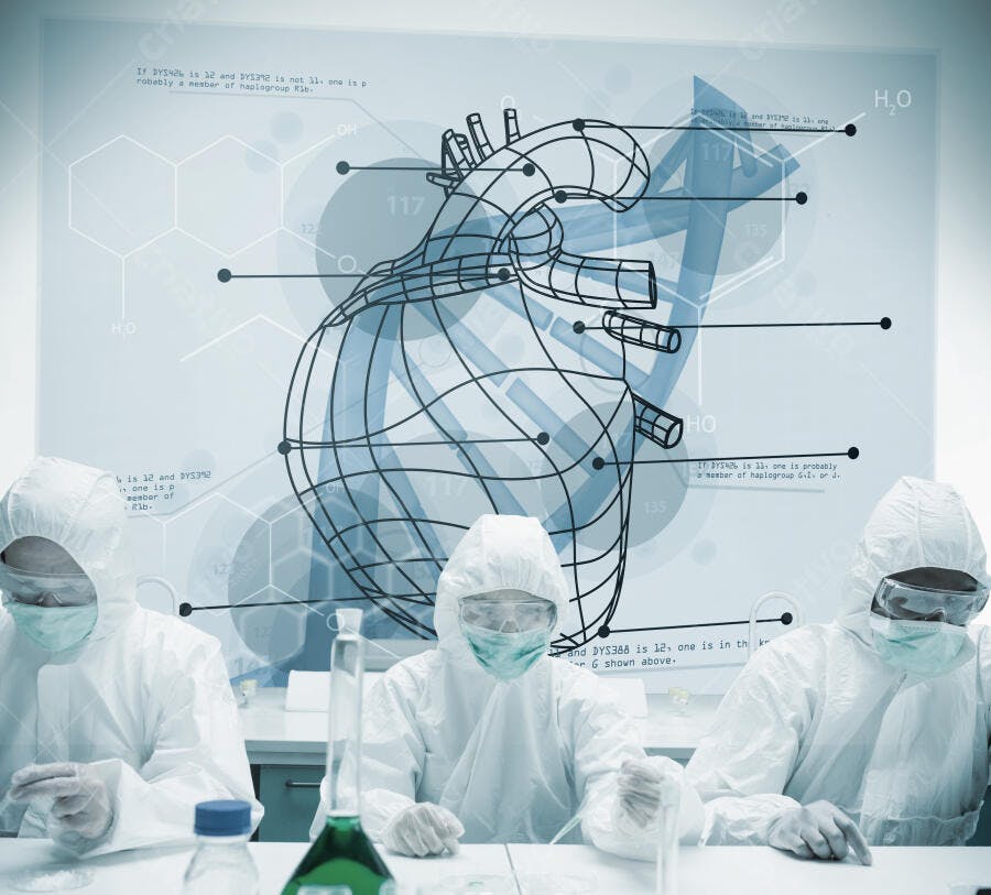 Cientistas em laboratório estudando o coração