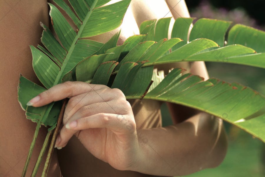 Mão feminina segurando folhas verdes tropicais