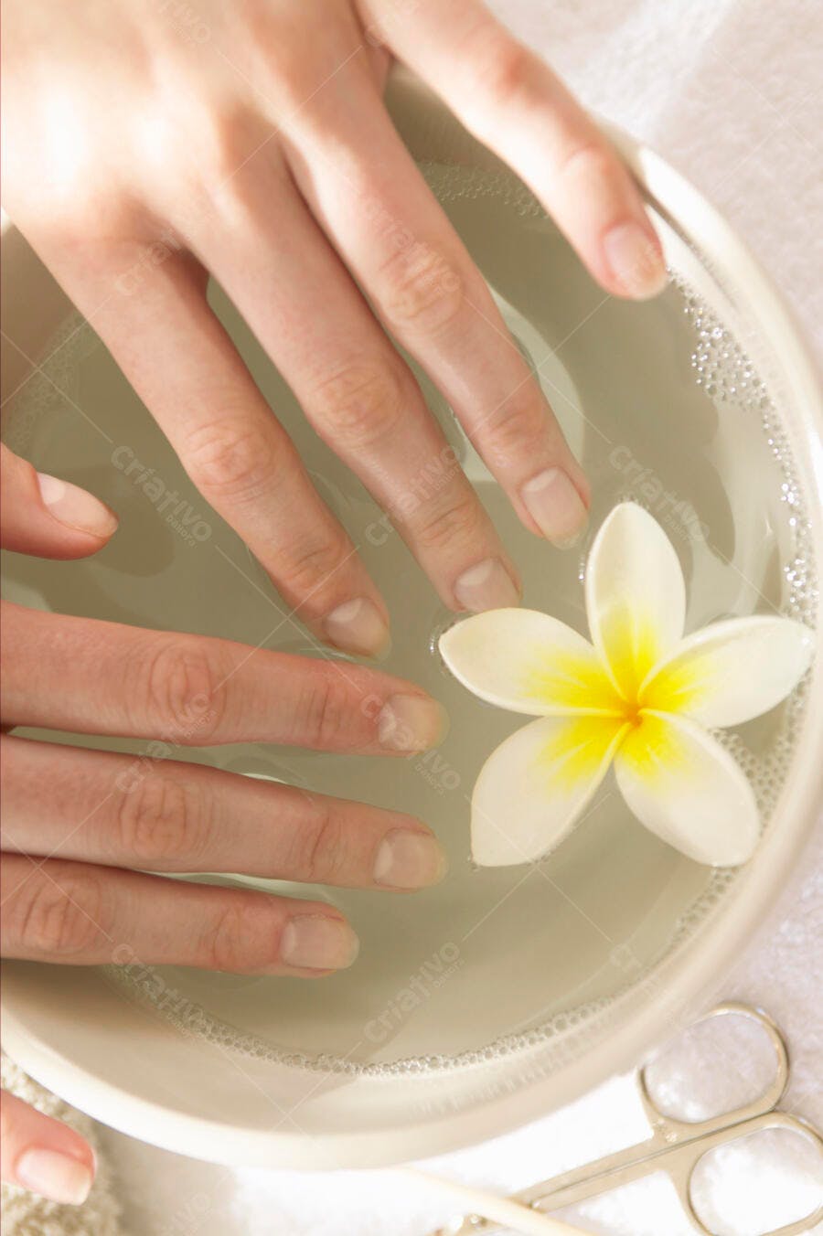 Mãos em água com flor de plumeria