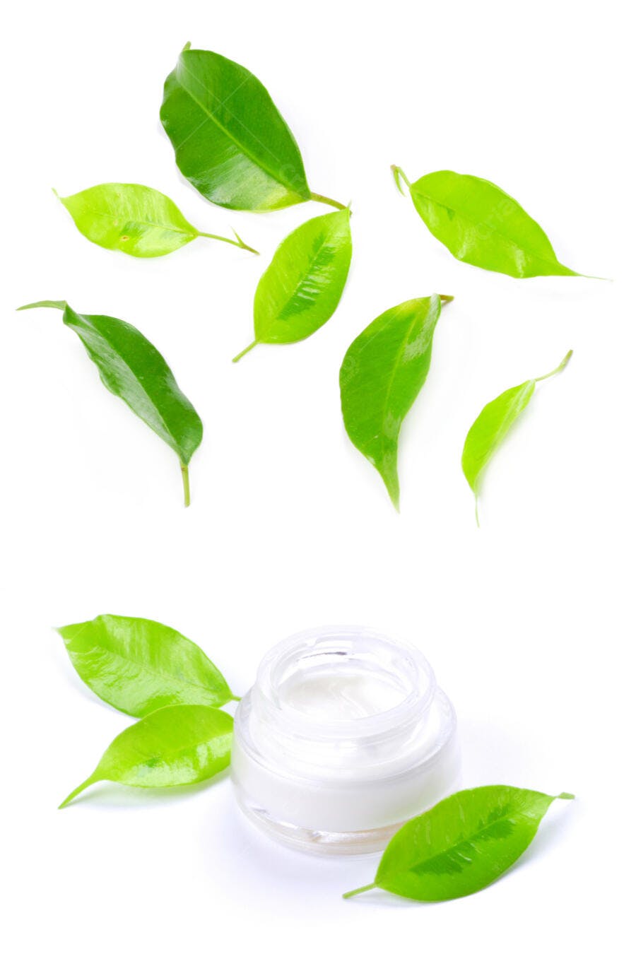 Creme facial natural com folhas verdes