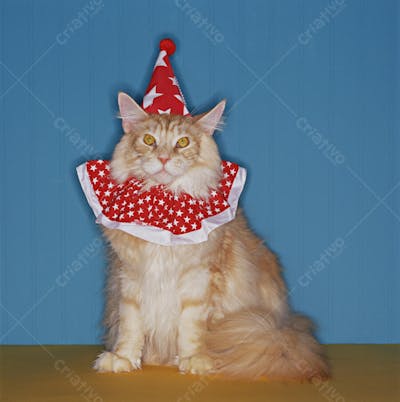 Animais em Festa (34)